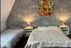 PANOU DECORATIV POLISTIREN de imitatie beton 687-201- q-home.ro