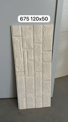PIATRA MODEL NEVOPSIT 675