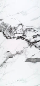PANOU PVC- SM ASTRAL  , 122 x 270 cm