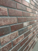 Panou decorativ polistiren CARAMIDA  653-226- Livrare rapida!