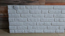 Panou  polistiren nevopsit, EP-102 B, dimensiune 100 x 50 x 2cm