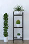 Suport Metlic Decorativ  pentru Flori- Livrare rapida!