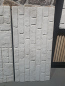 Panou  polistiren nevopsit, EP-102 B, dimensiune 100 x 50 x 2cm