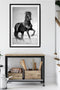 Tablou cal MDF- q-home.ro