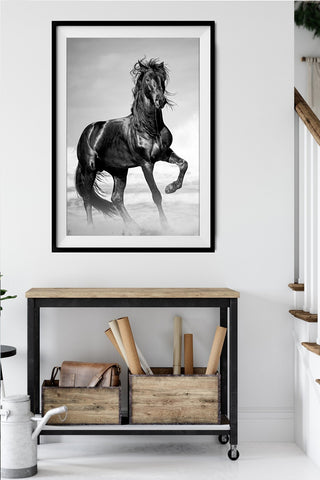 Tablou cal MDF- q-home.ro