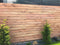 Panou decorativ polistiren Textura Lemn 697-220- Livrare rapida !