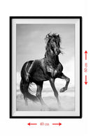 Tablou cal MDF- q-home.ro