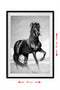 Tablou cal MDF- q-home.ro