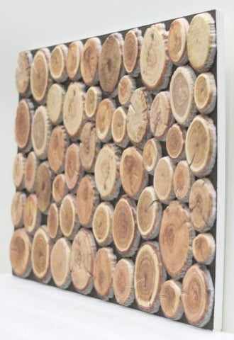 Panou decorativ polistiren Textura Lemn 917-201- Livrare rapida !