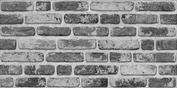 PANOU DECORATIV POLISTIREN Caramida B-021- Livrare rapida !