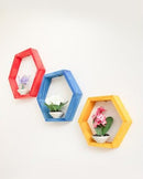 Set 3 Rafturi  HexagoaneColorate- Livrare rapida !