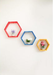 Set 3 Rafturi  HexagoaneColorate- Livrare rapida !