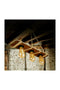Pendul  Vizyon Lemn Natural Design Trio- Livrare rapida!