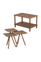Set Masute si Raft Zigon- Livrare rapida!
