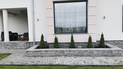 Panou decorativ polistiren CARAMIDA  BAROCK 651-242- Livrare rapida !